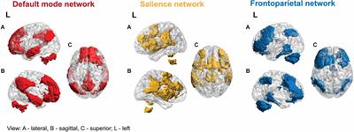 The role of the salience network in cognitive and affective deficits